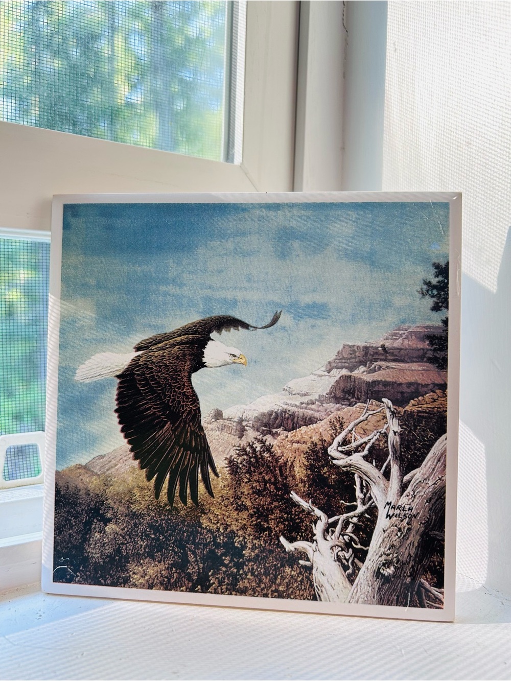 🦅 Vintage Eagle Ceramic Tile Trivet Wall Art by Marla Wilson